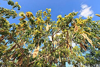 2月10日任天堂直面会汇总 《异度神剑3》正式公布